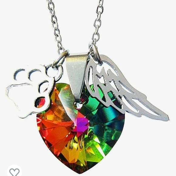 Rainbow Bridge Paw Print, Angel Wing Stainless Steel Necklace w/Colorful Crystal - Picture 1 of 3